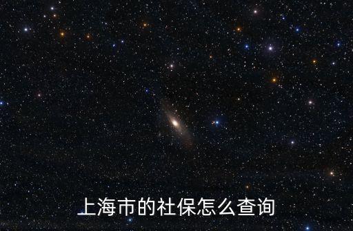 上海市社保系統，上海市勞動社會保障局