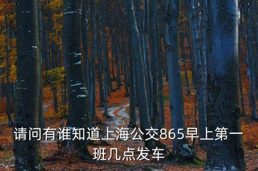 上海市865公交車，請問有誰知道上海公交865早上第一班幾點發車