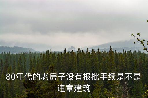 上海市老式住宅房不能經營嗎，上海老房子超過多少年必須拆