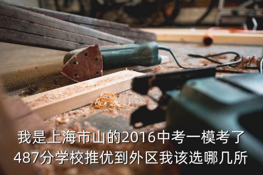 我是上海市山的2016中考一模考了487分學校推優到外區我該選哪幾所