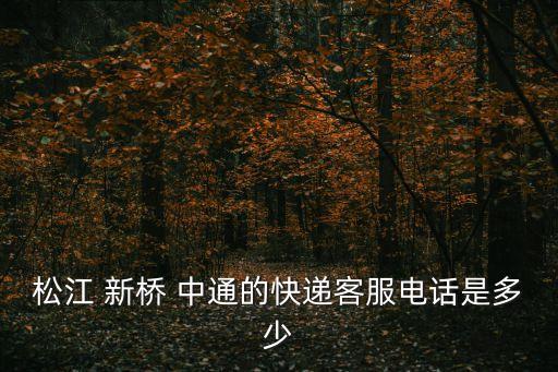 松江 新橋 中通的快遞客服電話是多少