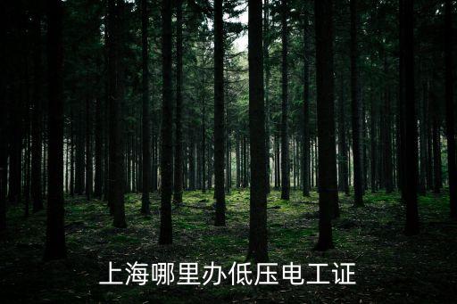 上海哪里辦低壓電工證