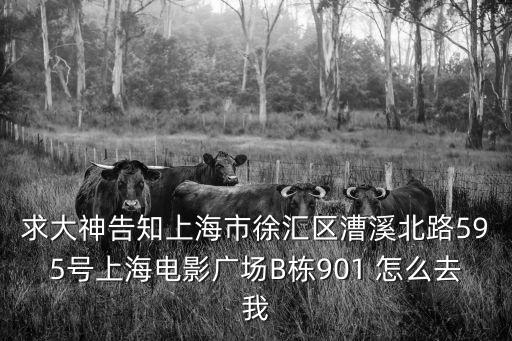 求大神告知上海市徐匯區漕溪北路595號上海電影廣場B棟901 怎么去我