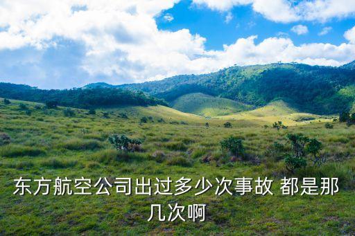 上海市表彰大會，中國東方航空586號班機事故的事件經過
