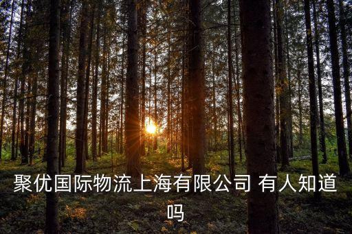 上海市聚緣國際物流有限公司，聚優(yōu)國際物流上海有限公司 有人知道嗎