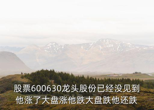 上海市創(chuàng)投概念股，股票600630龍頭股份已經(jīng)沒(méi)見(jiàn)到他漲了大盤漲他跌大盤跌他還跌