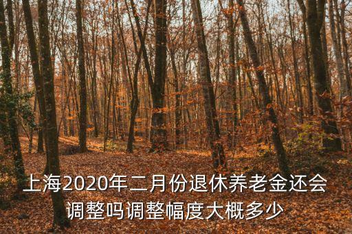 上海2020年二月份退休養(yǎng)老金還會(huì)調(diào)整嗎調(diào)整幅度大概多少
