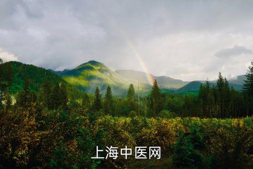 上海市中醫編輯招聘，上海中醫網