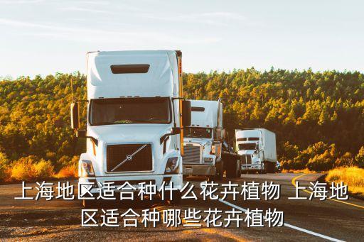 上海地區適合種什么花卉植物 上海地區適合種哪些花卉植物