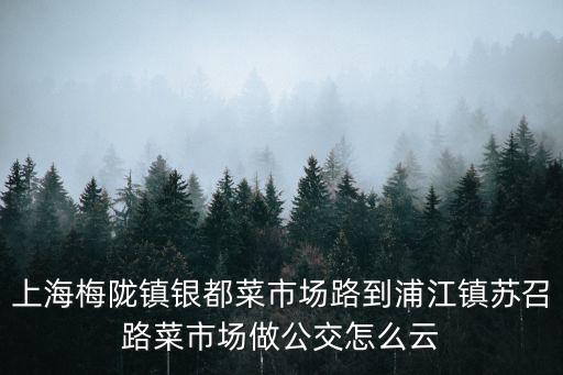 上海梅隴鎮(zhèn)銀都菜市場路到浦江鎮(zhèn)蘇召路菜市場做公交怎么云