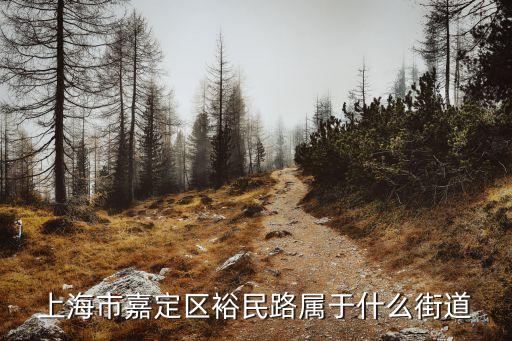 上海市裕民路1203弄是哪個(gè)區(qū)，上海市嘉定區(qū)裕民路屬于什么街道