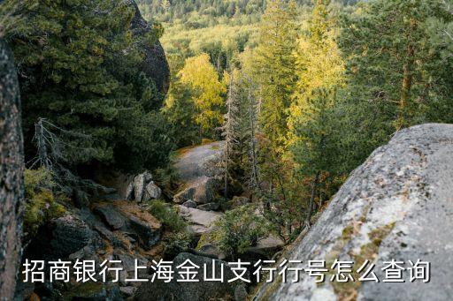 上海市金山支行行號(hào)是多少，招商銀行上海金山支行行號(hào)怎么查詢