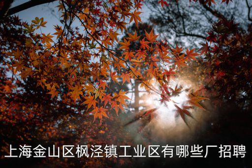 上海金山區楓涇鎮工業區有哪些廠招聘