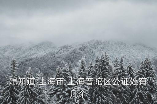 上海市普陀公證處怎么樣，上海普陀區公證處在那里