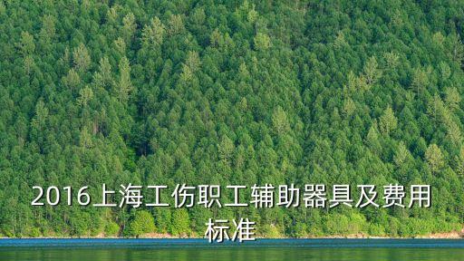 上海市工傷保險輔助器具配置目錄，2016上海工傷職工輔助器具及費用標準