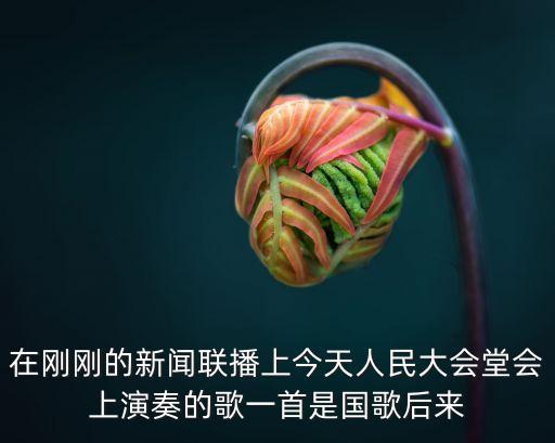 在剛剛的新聞聯播上今天人民大會堂會上演奏的歌一首是國歌后來