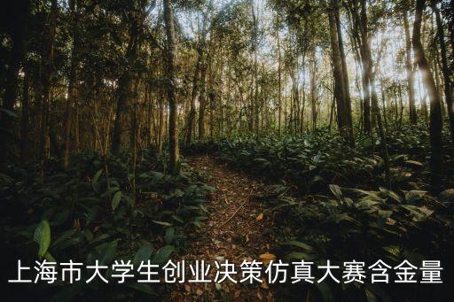 上海市創業決策大賽官網，上海市大學生創業決策仿真大賽含金量