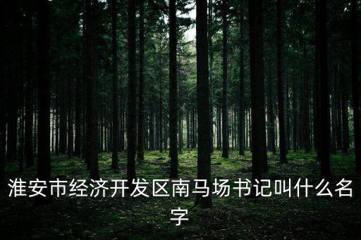 上海市華辰隆德豐朱永興資產(chǎn)，淮安市經(jīng)濟開發(fā)區(qū)南馬場書記叫什么名字