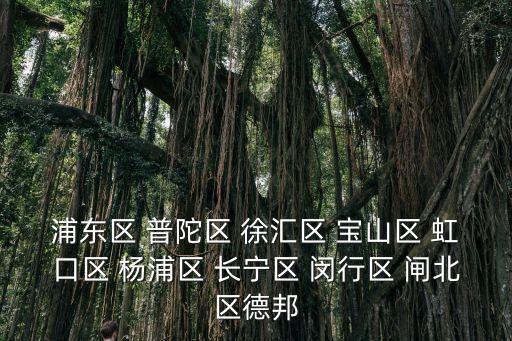 上海市徐匯區德邦物流網點電話，浦東區 普陀區 徐匯區 寶山區 虹口區 楊浦區 長寧區 閔行區 閘北區德邦
