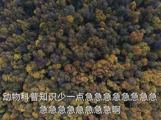 動物科普知識少一點急急急急急急急急急急急急急急急急啊