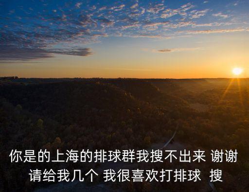 上海市高校排球聯盟，你是的上海的排球群我搜不出來 謝謝 請給我幾個 我很喜歡打排球  搜