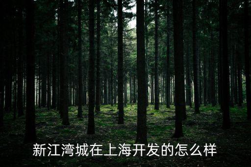 新江灣城在上海開發(fā)的怎么樣