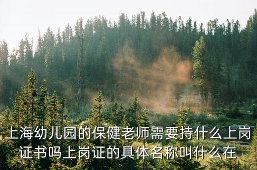 上海市兒保所 保健上崗證，上海幼兒園的保健老師需要持什么上崗證書嗎上崗證的具體名稱叫什么在