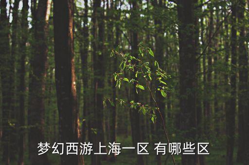 上海市下坡屯一區，夢幻西游上海一區 有哪些區