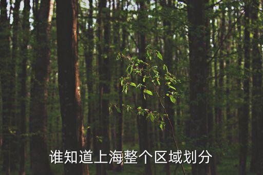 誰(shuí)知道上海整個(gè)區(qū)域劃分