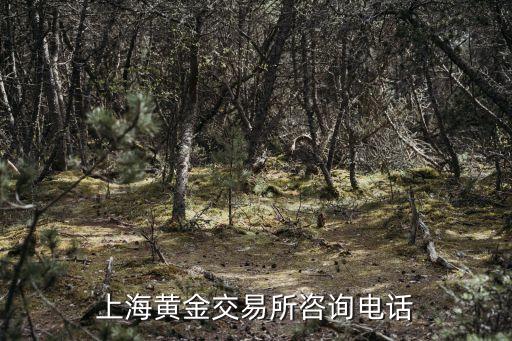 上海黃金交易所咨詢電話