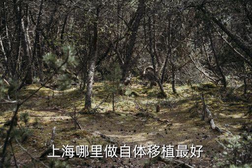 上海市一移植怎么樣，上海哪里做自體移植最好
