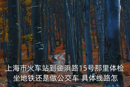 上海市金浜路15號(hào) 地鐵，上海南站出站至上海市金浜路15號(hào)乘地鐵幾號(hào)線