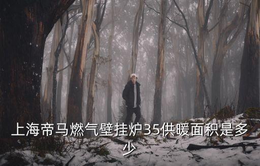 上海帝馬燃氣壁掛爐35供暖面積是多少