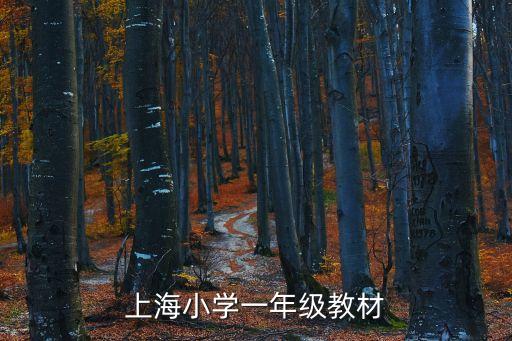 上海市一年級教材版本，上海小學一年級教材