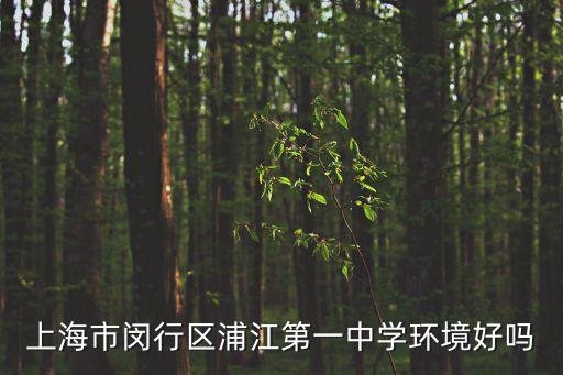上海市閔行區浦江第一中學環境好嗎