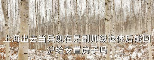 上海出去當兵現在是副師級退休后能回滬給安置房子嗎