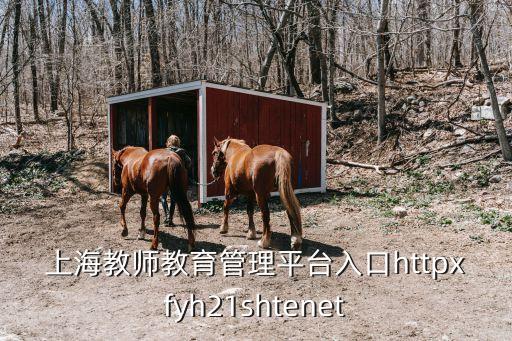 上海教師教育管理平臺入口httpxfyh21shtenet