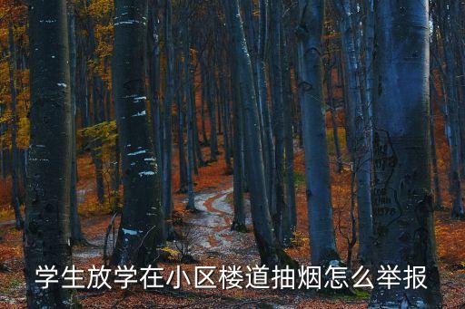 學(xué)生放學(xué)在小區(qū)樓道抽煙怎么舉報(bào)