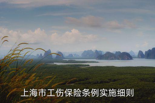 上海市工傷保險條例實施細則