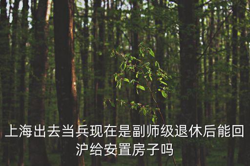 上海出去當兵現在是副師級退休后能回滬給安置房子嗎