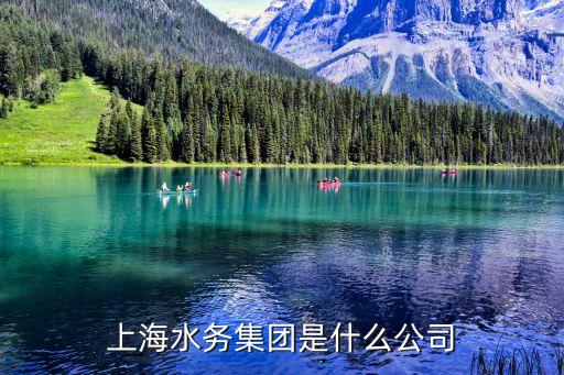 上海市工程系列水務，上海水務集團是什么公司