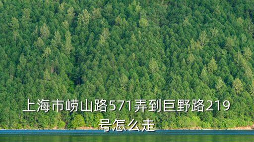 上海市嶗山路571弄到巨野路219號怎么走