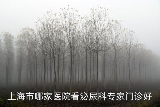 上海市泌尿科女醫(yī)生介紹，上海治療女性尿道炎哪家醫(yī)院好