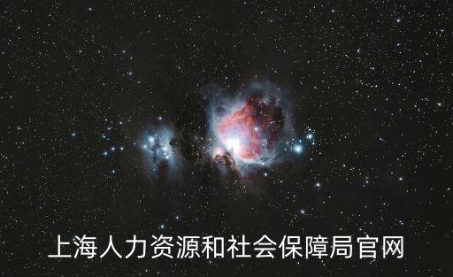 上海人力資源和社會保障局官網