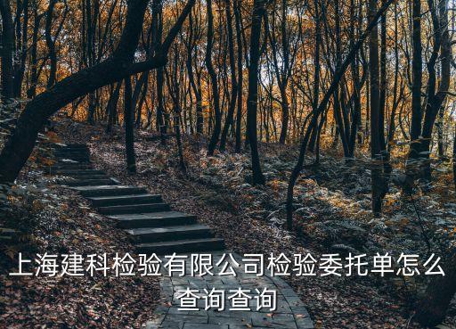上海市檢測委托單，外牌車上海年檢黃牛開委托單只要一天為何這么快啊