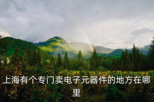 上海有個專門賣電子元器件的地方在哪里