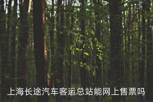 上海長途汽車客運總站能網上售票嗎