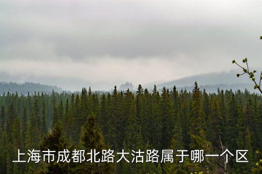 上海市成都路，上海市成都路第二中學地址
