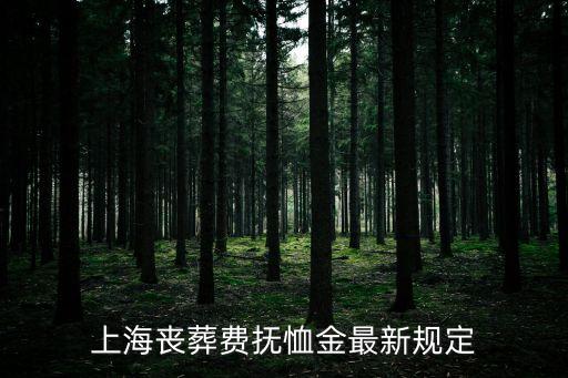 上海市撫恤金發放規定，上海市喪葬費撫恤金最新規定