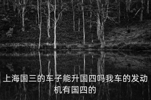 上海國(guó)三的車子能升國(guó)四嗎我車的發(fā)動(dòng)機(jī)有國(guó)四的
